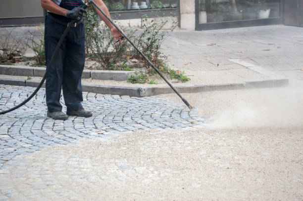 Animal Enclosure Cleaning in Maumee, OH